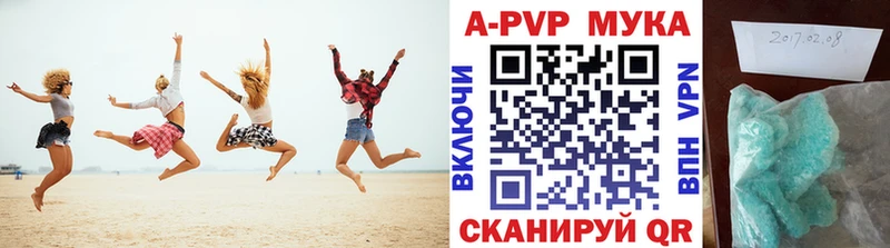 Alfa_PVP СК  как найти закладки  Ленинградская 