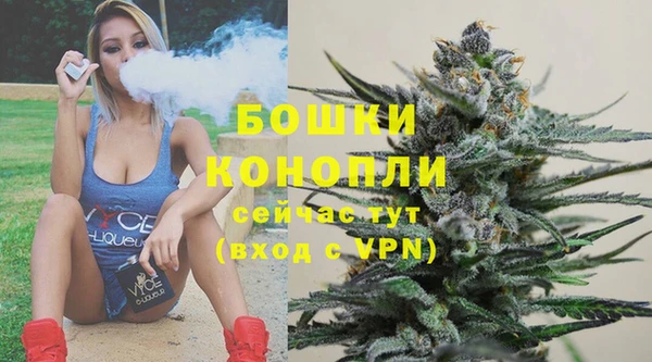 амф Липки