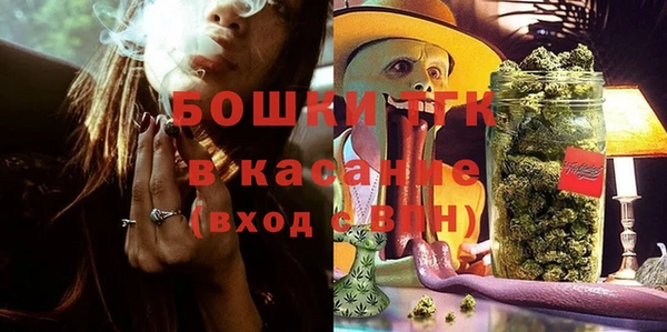 амф Липки