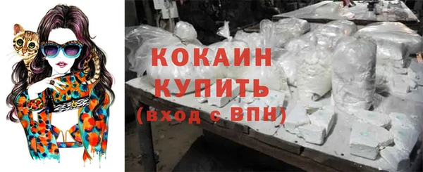 амф Липки