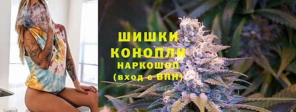 амф Липки