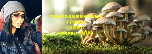 амф Липки