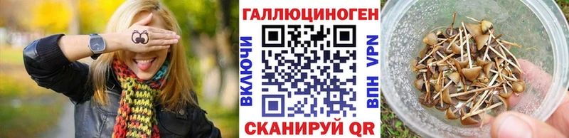 Псилоцибиновые грибы GOLDEN TEACHER  Ленинградская 